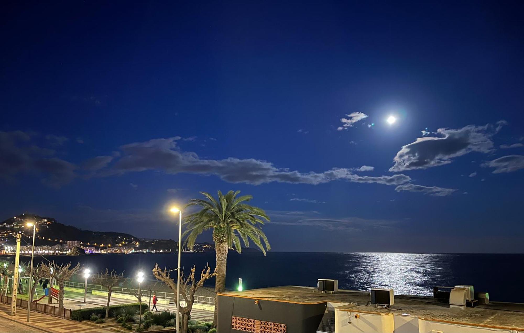 Estudio Con Impresionantes Vistas Al Mar Blanes Eksteriør billede